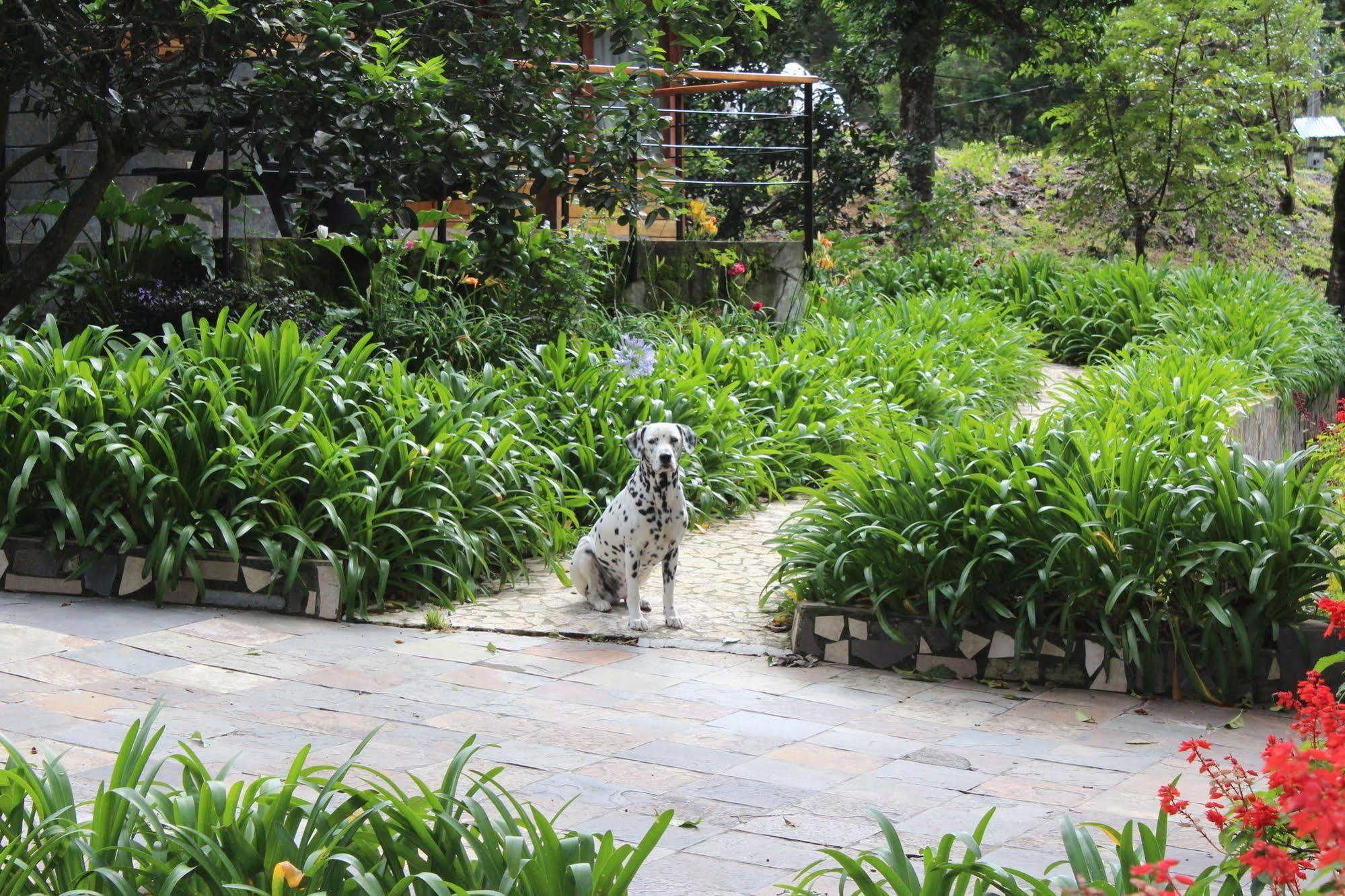Hotel Casa Grande Bambito ภายนอก รูปภาพ